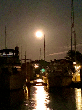 The blue moon over Bohicket Creek!