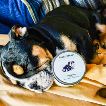 Puppy Breath Candle in 8 oz Mason Jar