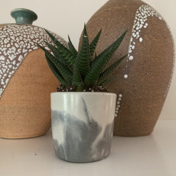 Concrete succulent pots