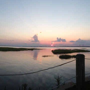 Enjoying the sunset over Charleston from the Pitt Street Bridge