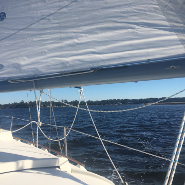 Sailing the Stono